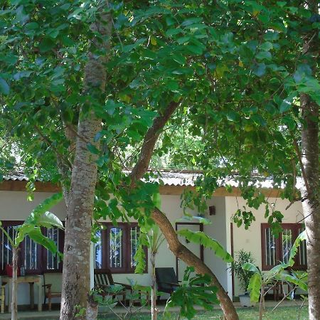 Talalla Coconut Hotel Zewnętrze zdjęcie