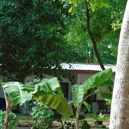 Talalla Coconut Hotel Zewnętrze zdjęcie