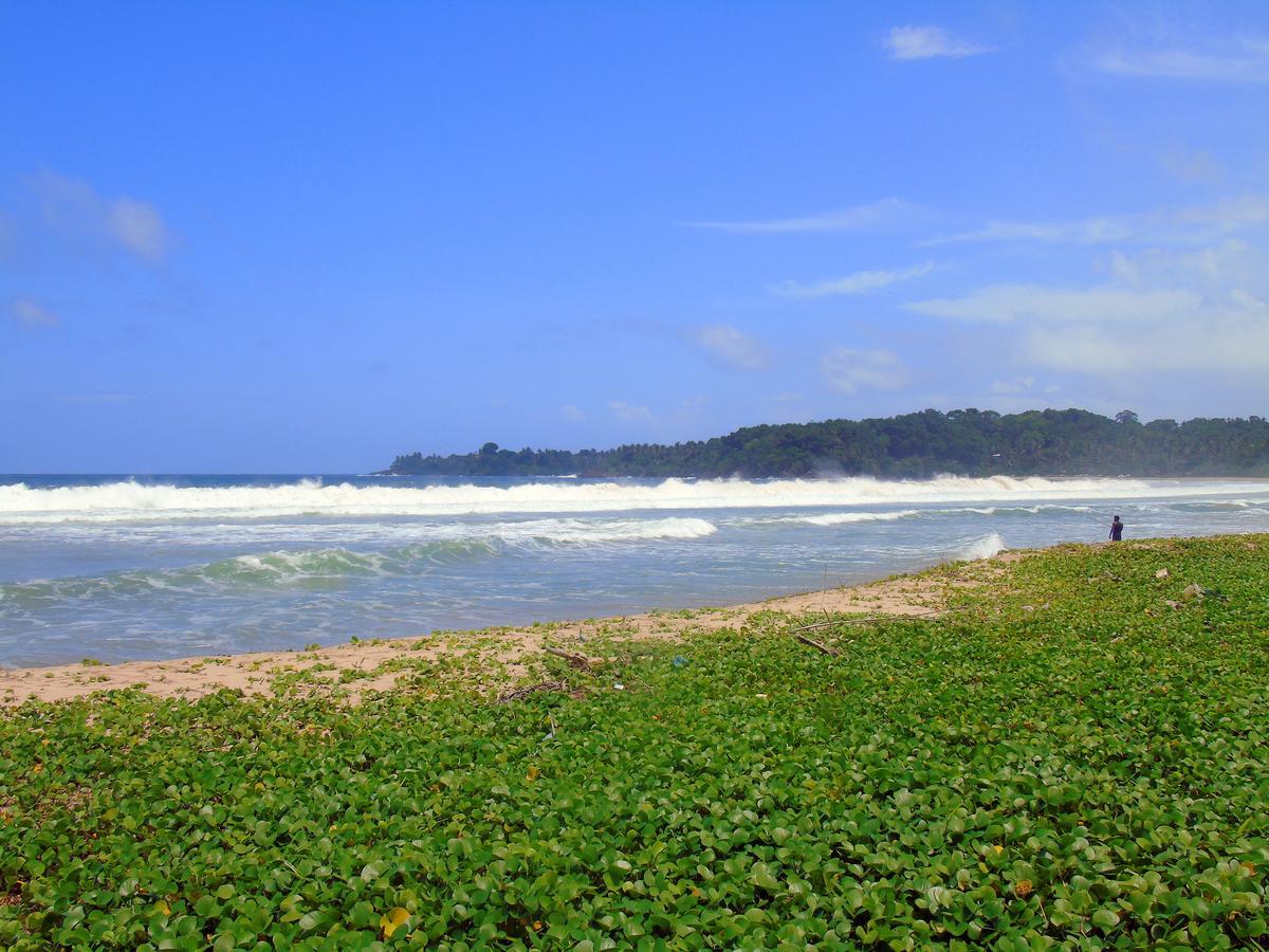 Talalla Coconut Hotel Zewnętrze zdjęcie