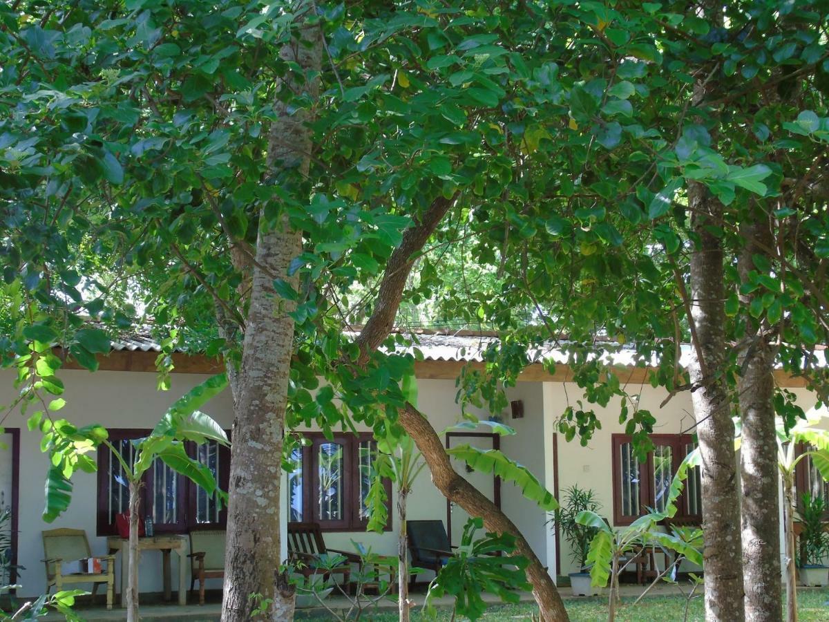 Talalla Coconut Hotel Zewnętrze zdjęcie