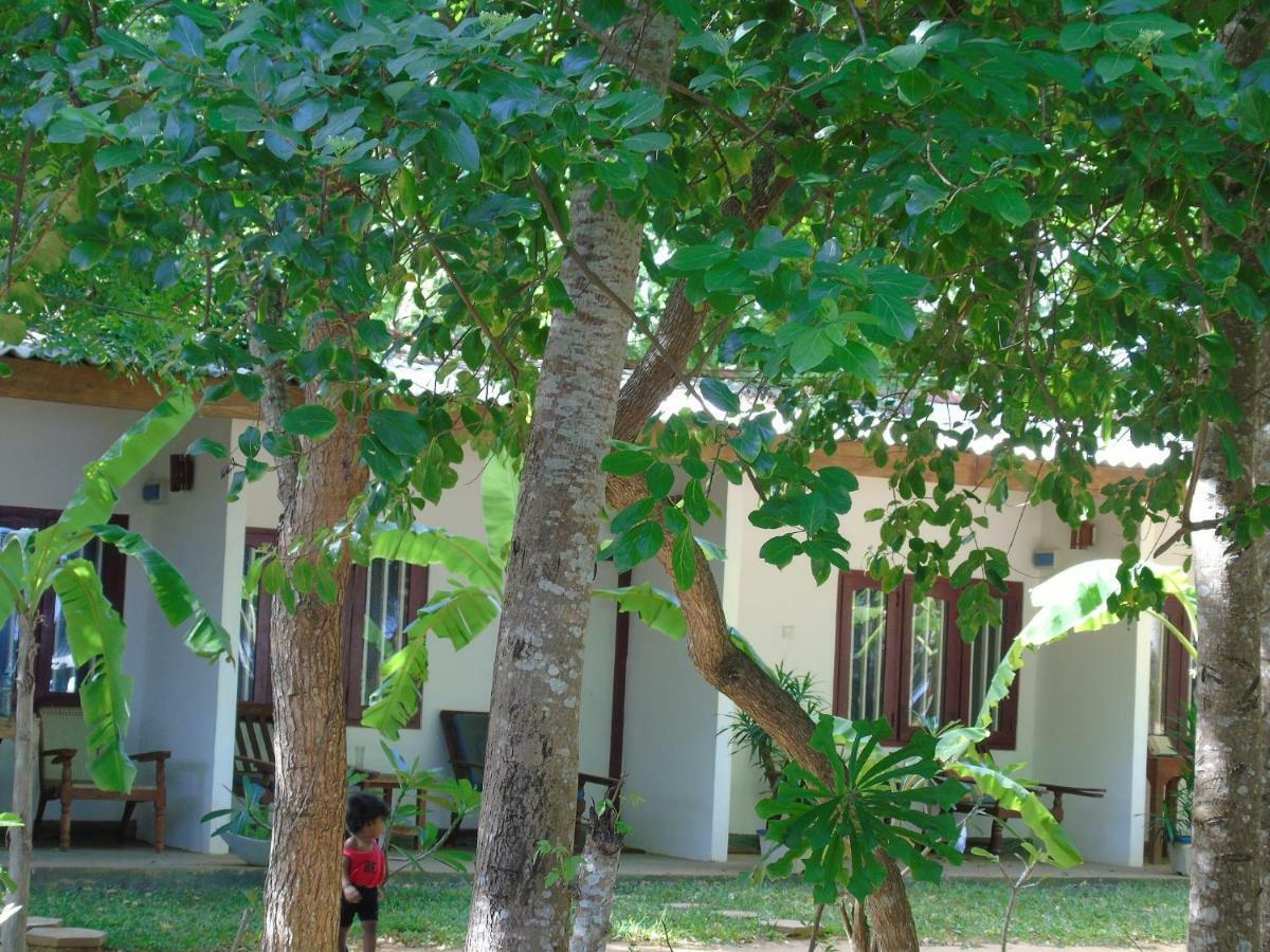 Talalla Coconut Hotel Zewnętrze zdjęcie