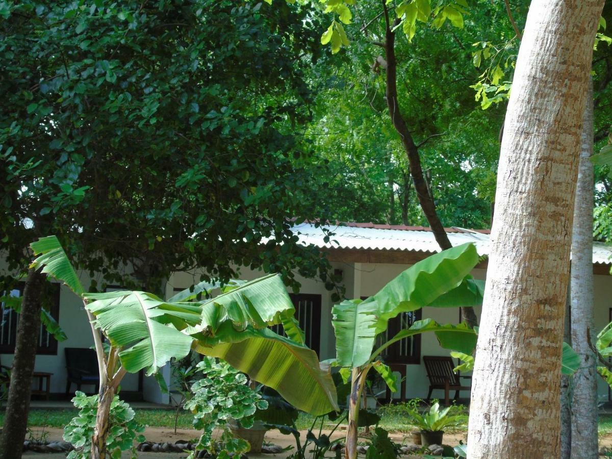 Talalla Coconut Hotel Zewnętrze zdjęcie