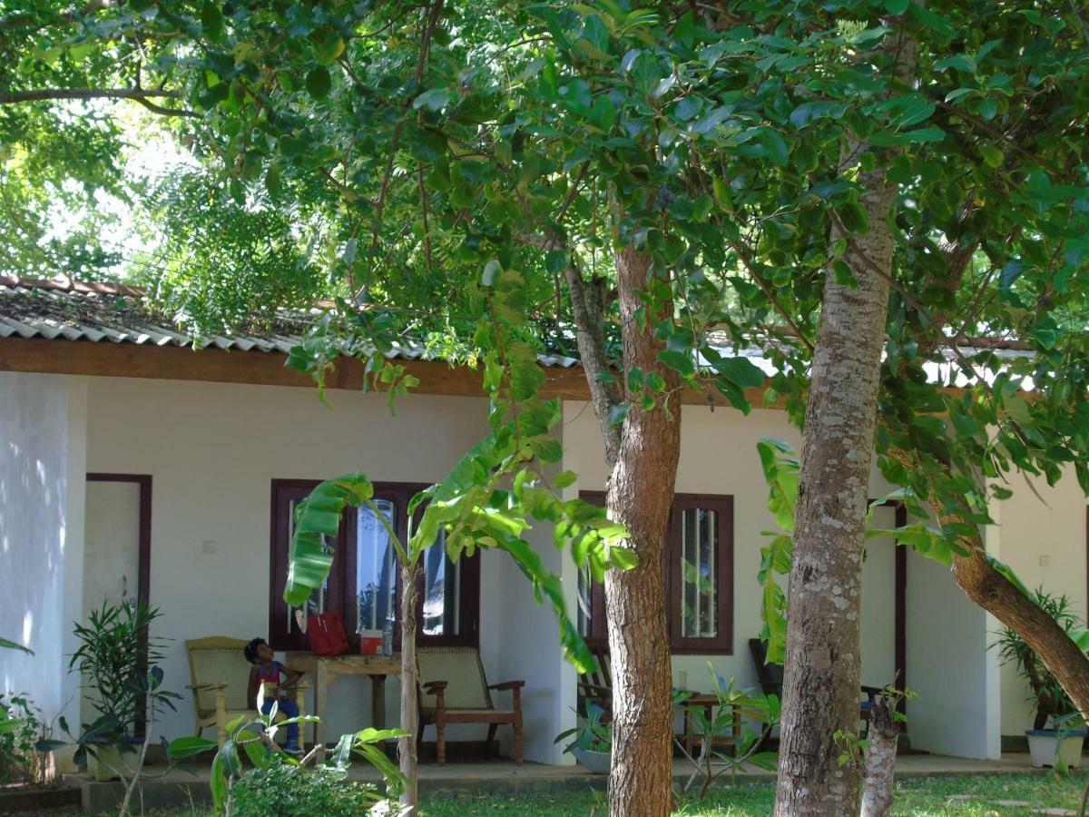 Talalla Coconut Hotel Zewnętrze zdjęcie